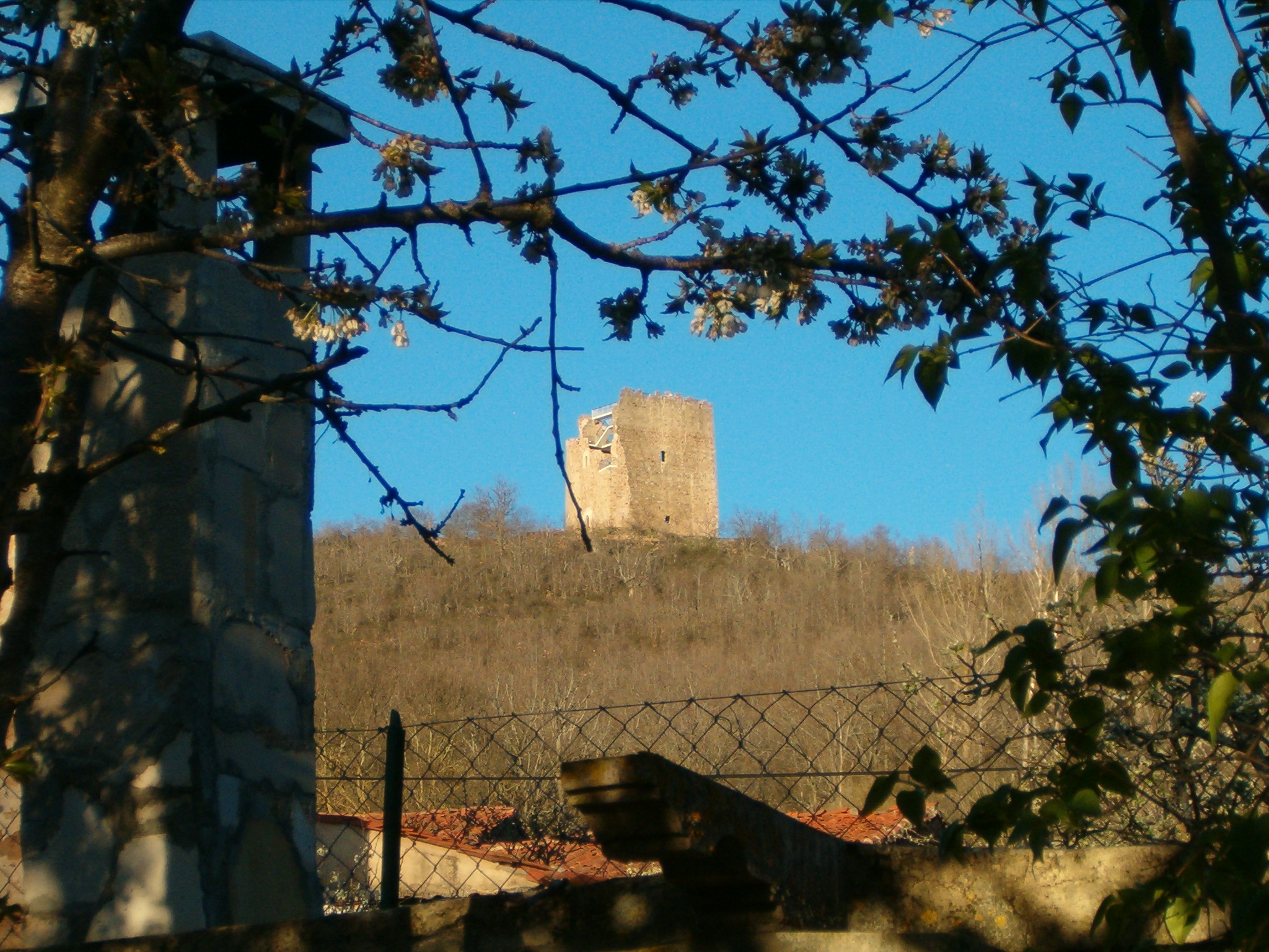 castillo castrovido